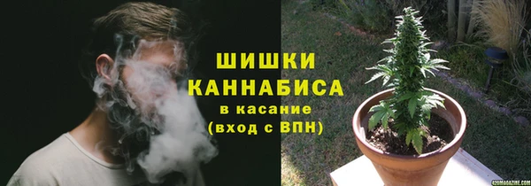 шишки Богородицк