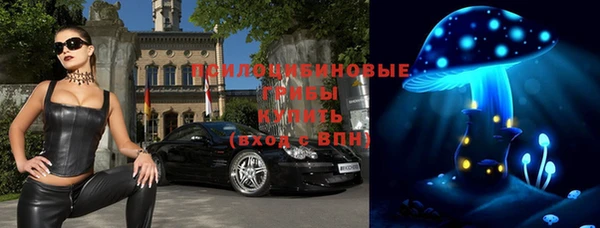 a pvp Рославль
