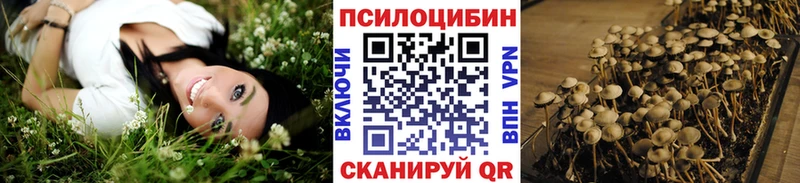 Галлюциногенные грибы Magic Shrooms где продают наркотики Болохово